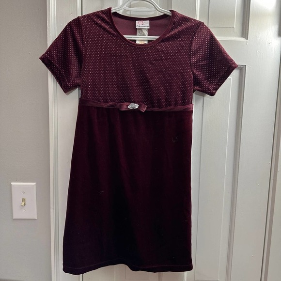 Expressions velour dress - Picture 1 of 2